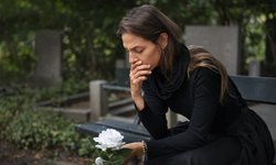 Foto sobre o que é a Hinoterapia